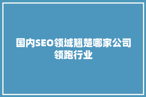 国内SEO领域翘楚哪家公司领跑行业