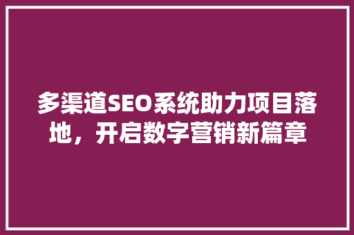 多渠道SEO系统助力项目落地，开启数字营销新篇章