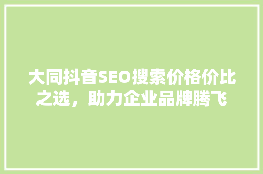 大同抖音SEO搜索价格价比之选，助力企业品牌腾飞