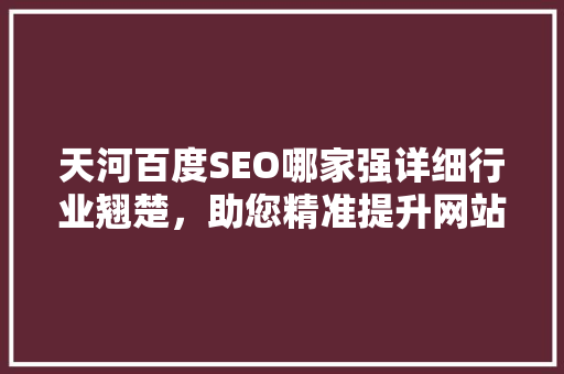 天河百度SEO哪家强详细行业翘楚，助您精准提升网站排名