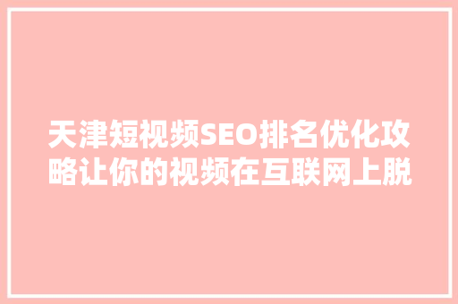 天津短视频SEO排名优化攻略让你的视频在互联网上脱颖而出