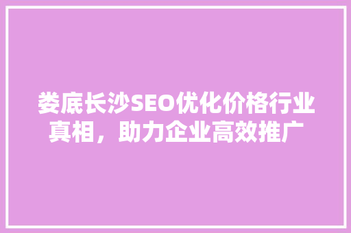 娄底长沙SEO优化价格行业真相，助力企业高效推广