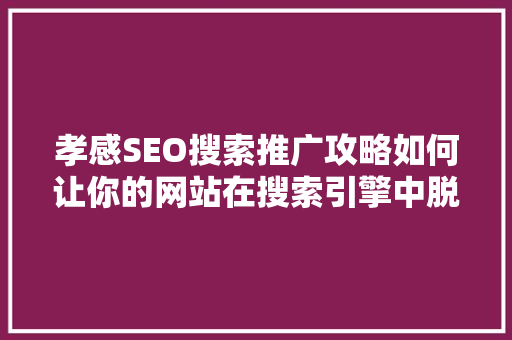 孝感SEO搜索推广攻略如何让你的网站在搜索引擎中脱颖而出
