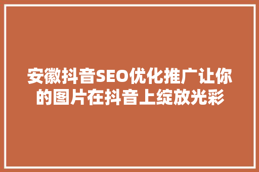 安徽抖音SEO优化推广让你的图片在抖音上绽放光彩