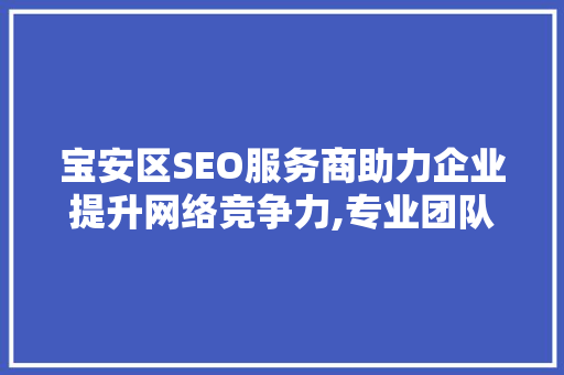 宝安区SEO服务商助力企业提升网络竞争力,专业团队，全方位解决方法