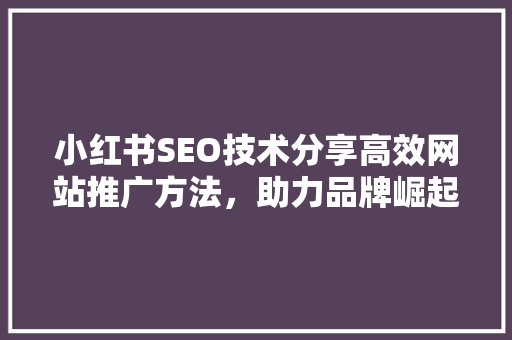 小红书SEO技术分享高效网站推广方法，助力品牌崛起