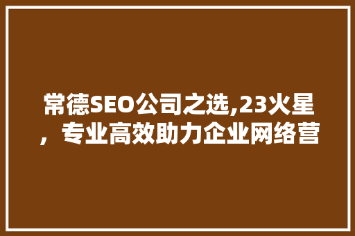 常德SEO公司之选,23火星，专业高效助力企业网络营销