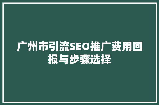 广州市引流SEO推广费用回报与步骤选择