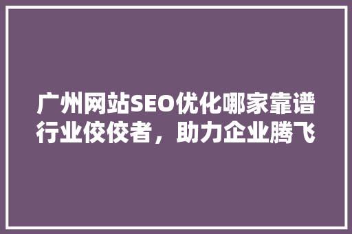 广州网站SEO优化哪家靠谱行业佼佼者，助力企业腾飞