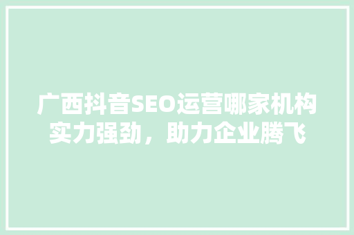 广西抖音SEO运营哪家机构实力强劲，助力企业腾飞
