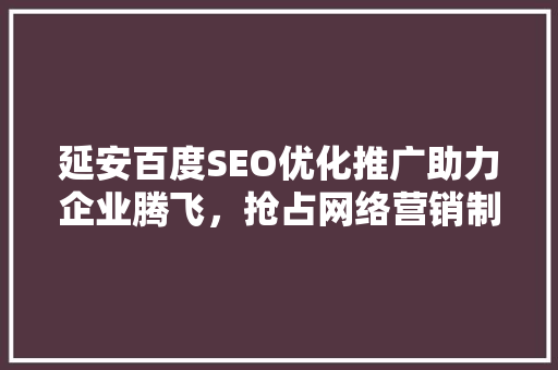 延安百度SEO优化推广助力企业腾飞，抢占网络营销制高点