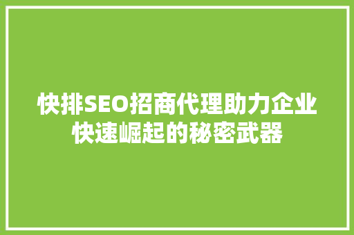 快排SEO招商代理助力企业快速崛起的秘密武器