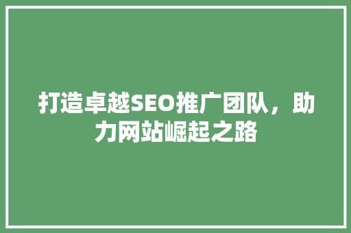 打造卓越SEO推广团队，助力网站崛起之路