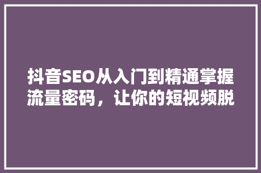 抖音SEO从入门到精通掌握流量密码，让你的短视频脱颖而出