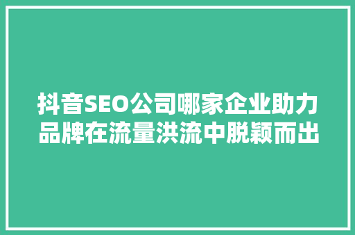 抖音SEO公司哪家企业助力品牌在流量洪流中脱颖而出
