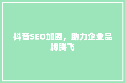 抖音SEO加盟，助力企业品牌腾飞