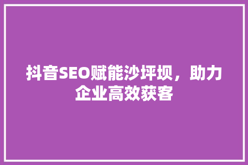 抖音SEO赋能沙坪坝，助力企业高效获客