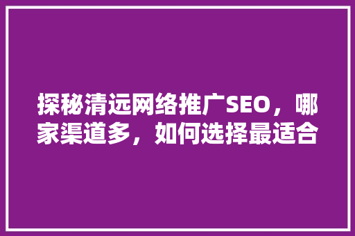 探秘清远网络推广SEO，哪家渠道多，如何选择最适合自己的服务