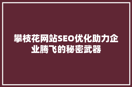攀枝花网站SEO优化助力企业腾飞的秘密武器
