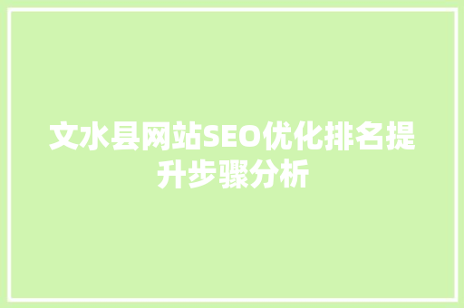 文水县网站SEO优化排名提升步骤分析