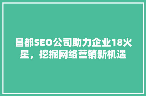 昌都SEO公司助力企业18火星，挖掘网络营销新机遇