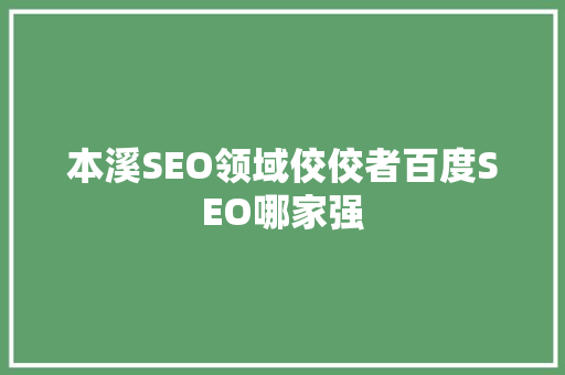 本溪SEO领域佼佼者百度SEO哪家强