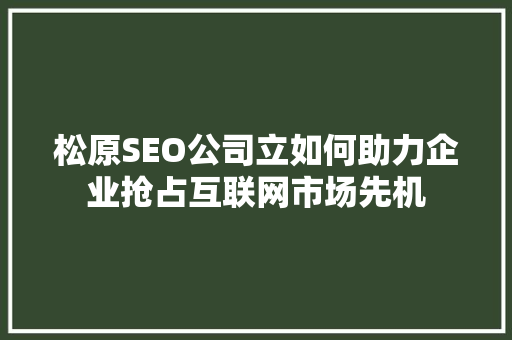 松原SEO公司立如何助力企业抢占互联网市场先机
