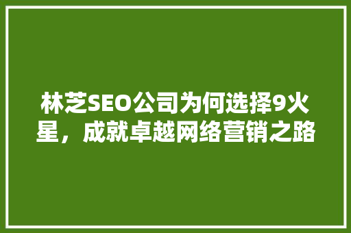 林芝SEO公司为何选择9火星，成就卓越网络营销之路