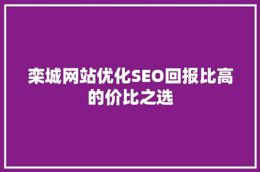 栾城网站优化SEO回报比高的价比之选