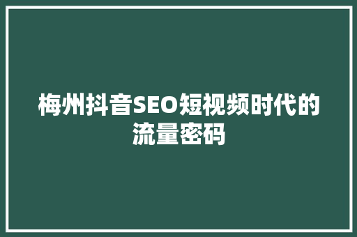 梅州抖音SEO短视频时代的流量密码