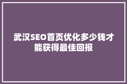 武汉SEO首页优化多少钱才能获得最佳回报