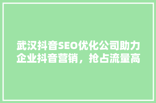 武汉抖音SEO优化公司助力企业抖音营销，抢占流量高地