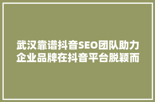 武汉靠谱抖音SEO团队助力企业品牌在抖音平台脱颖而出