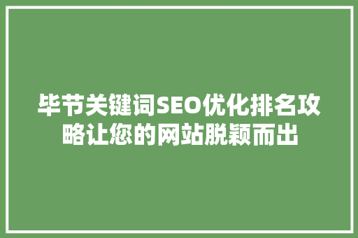 毕节关键词SEO优化排名攻略让您的网站脱颖而出