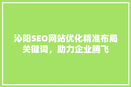 沁阳SEO网站优化精准布局关键词，助力企业腾飞