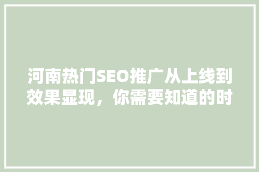河南热门SEO推广从上线到效果显现，你需要知道的时间线