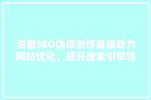 泊君SEO伪原创终身版助力网站优化，提升搜索引擎排名