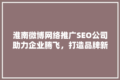 淮南微博网络推广SEO公司助力企业腾飞，打造品牌新高度