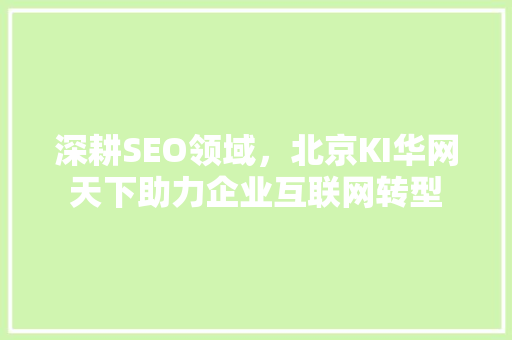 深耕SEO领域，北京KI华网天下助力企业互联网转型