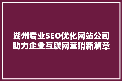 湖州专业SEO优化网站公司助力企业互联网营销新篇章