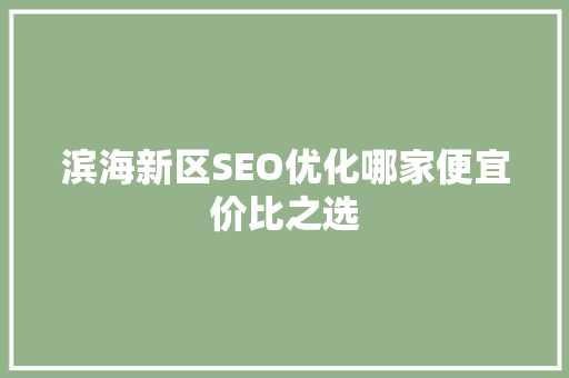滨海新区SEO优化哪家便宜价比之选