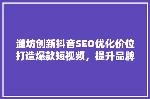 潍坊创新抖音SEO优化价位打造爆款短视频，提升品牌影响力