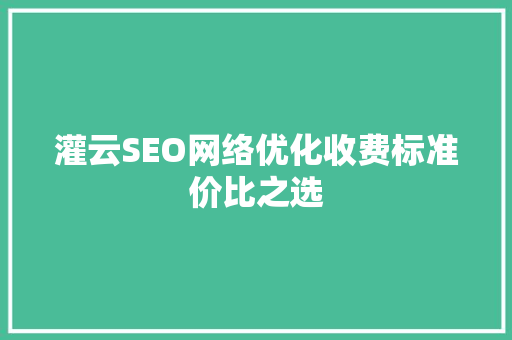 灌云SEO网络优化收费标准价比之选