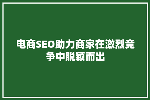 电商SEO助力商家在激烈竞争中脱颖而出