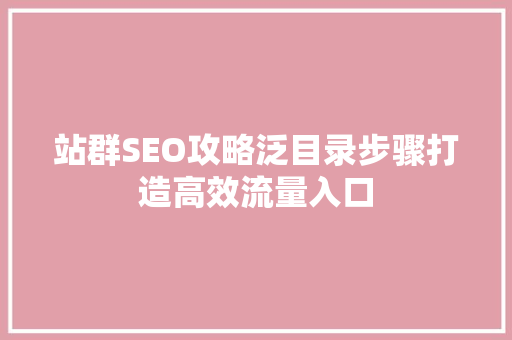 站群SEO攻略泛目录步骤打造高效流量入口
