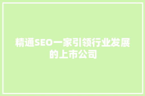 精通SEO一家引领行业发展的上市公司