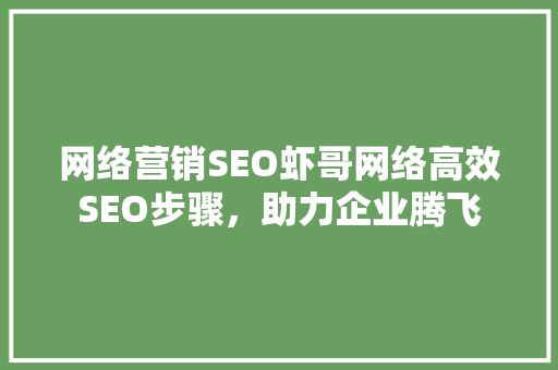 网络营销SEO虾哥网络高效SEO步骤，助力企业腾飞