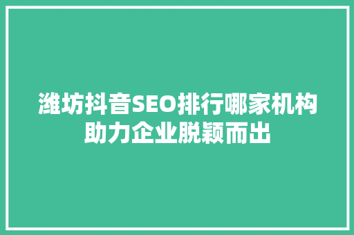 潍坊抖音SEO排行哪家机构助力企业脱颖而出  第1张