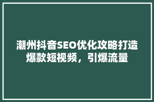 潮州抖音SEO优化攻略打造爆款短视频，引爆流量