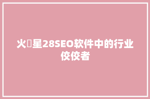 火乚星28SEO软件中的行业佼佼者